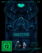Angel´s Egg