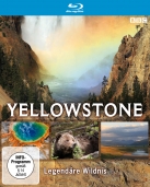 Yellowstone