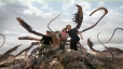 Primeval: Rückkehr der Urzeitmonster - Staffel 2